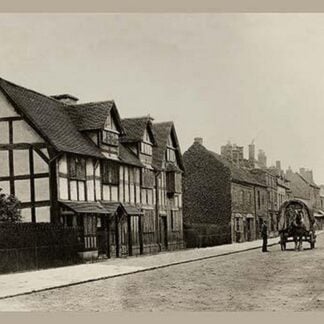 Here Shakespeare Was Born by James Leon Williams