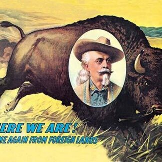 Here We Are! Home Again from Foreign Lands by Anonymous