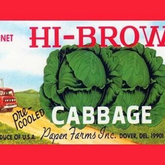 Hi-Brow Cabbage
