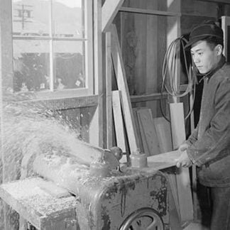 Hidemi Tayenaka (Woodworker)