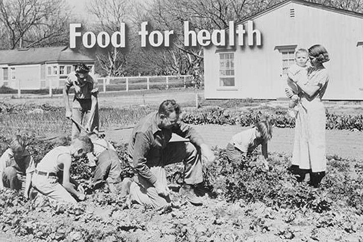 Homegrown food is homegrown wealth. by Dorothea Lange #2