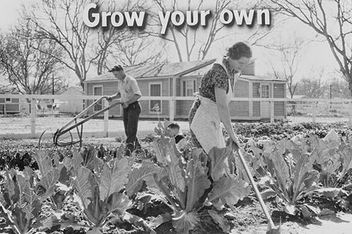 Homegrown food is homegrown wealth. by Dorothea Lange