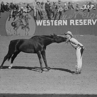 Horse Kiss by Russell Lee