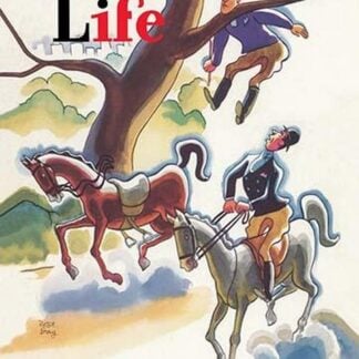 Horse Life Magazine