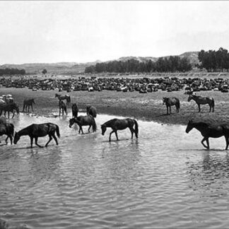 Horses crossing the river at Round-up Camp by L.A. Huffman