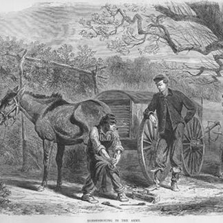 Horseshoeing by Frank Leslie