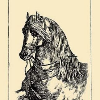 Hunt the Jockey by French Puzzle Card