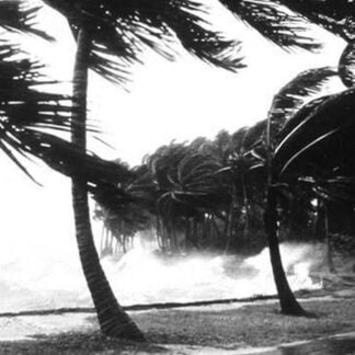 Hurricane Waves Strike the Seawall