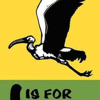 I is for Ibis by Charles Buckles Falls