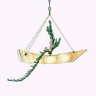 Ibuki & Nichinichi So (Cypress and Lochnera Rosea) in a suspended Boat Shaped Bamboo Vase by Josiah Conder