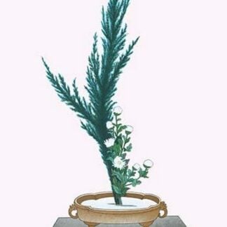 Ibuki & Shiragiku (Cypress & White Chrysanthemum leaves) in a Sunbachi by Josiah Conder #2