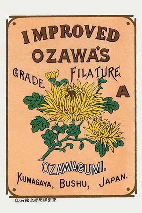 Improved Ozawa's Filature