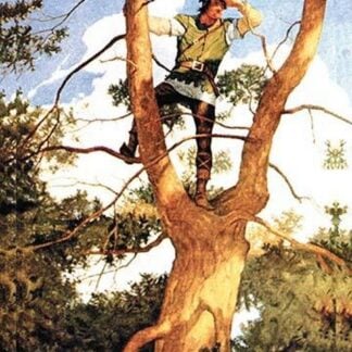 In the Fork by N.C. Wyeth