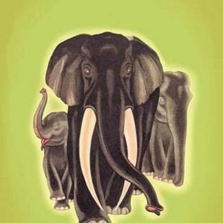 Indian Elephants by Robert Harrer #2