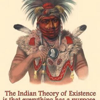 Indian Theory of Existence by Proverb Native American