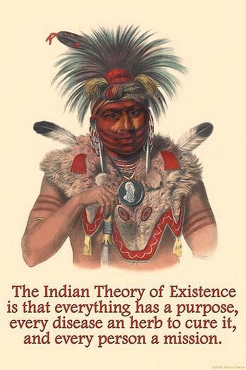 Indian Theory of Existence by Proverb Native American