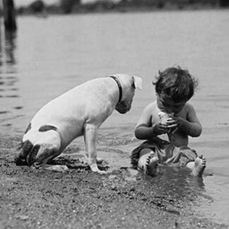 Inquisitive Baby sits in sand at Beach and tucks his head into an ice cream cone