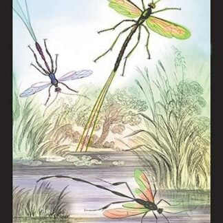 Insects: Pimpla Manifestator