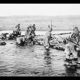 Inuit killing salmon with spears by Canadian Geological Survey