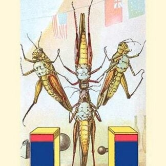 Inverted Pyramid from The Frolie Grasshopper Circus by William Cheseborough Ostrander