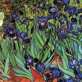 Irises by Vincent van Gogh