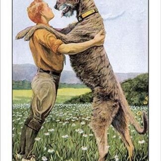 Irish Wolfhound by Louis Agassil Fuertes