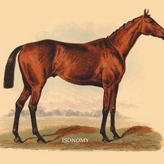 Isonomy by L. Penicaut