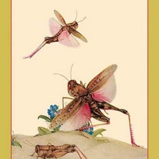 Italian Locusts by Edward Detmold