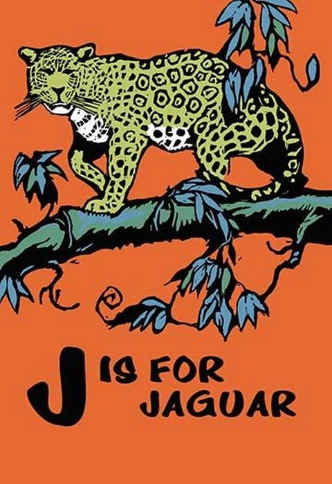 J is for Jaguar by Charles Buckles Falls