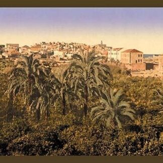 Jaffa Garden by Detroit Photographic Company