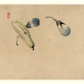 Japanese Pickle & Plums