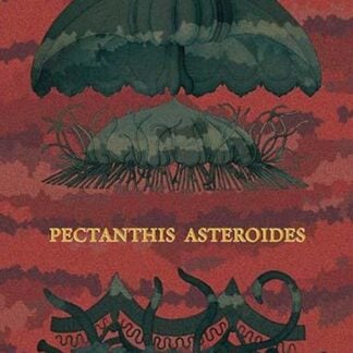 Jellyfish: Pectanthis Asteroides by Ernst Haeckel