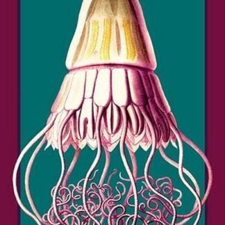 Jellyfish: Periphylla Mirabilis #2 by Ernst Haeckel