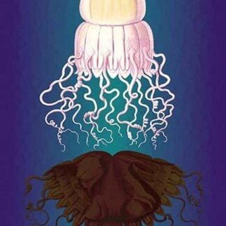 Jellyfish: Peromedusae by Ernst Haeckel