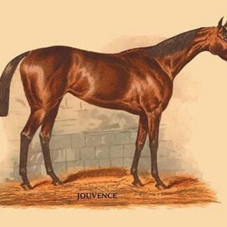 Jouvence by L. Penicaut