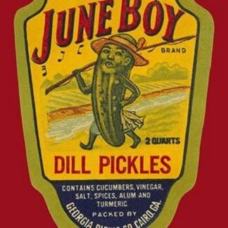 June Boy Dill Pickles #2