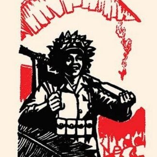 Jungle Combat Soldier Victorious by Chinese Government