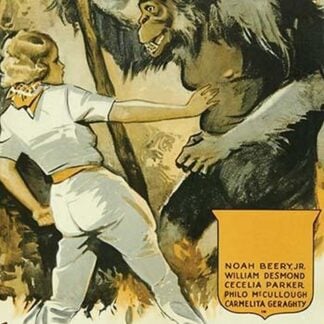 Jungle Mystery - The Mystery Cavern