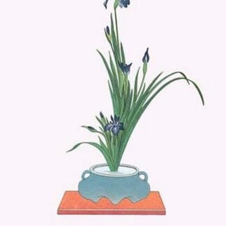 Kakitsubata (Iris Laevigata) in a Tsubo by Josiah Conder