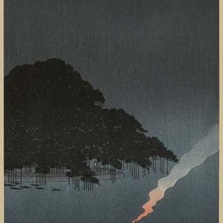 Karasaki pines at night