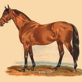 King Lud by L. Penicaut