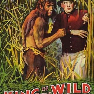 King of the Wild-Secret of the Volcano