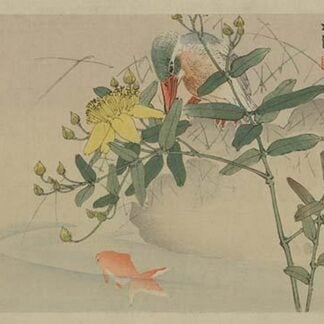 Kingfisher and Goldfish in Pond