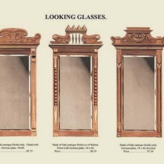 Koch's Looking Glasses