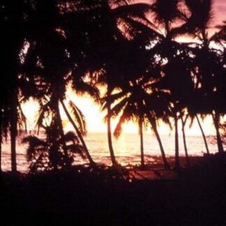 Kona White Sands by James P. McVey