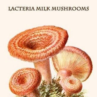 Lacteria Milk Mushrooms By Edmund Michael