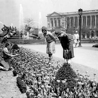 Ladies Picking Flowers