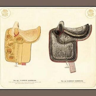 Ladies' Saddles #3