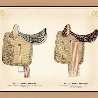 Ladies' Saddles