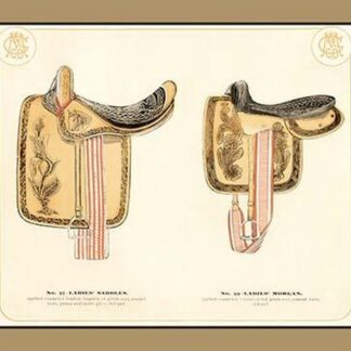 Ladies' Saddles #4